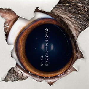 日本一本首视频二区
