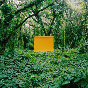 日本一本首视频二区
