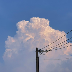 日本一本首视频二区
